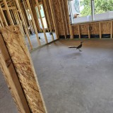 20240718_164234 Jason Huggett