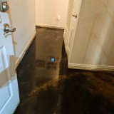 20241209_182736~2 Jason Huggett